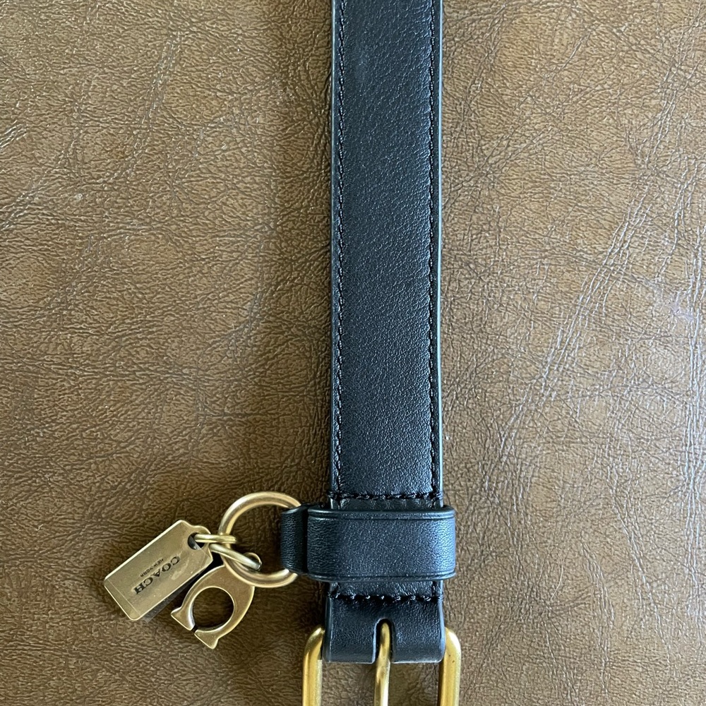 Dog collars